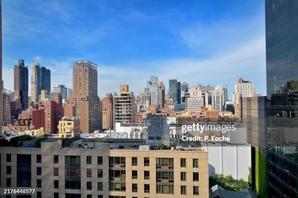 Lenox Hill ny crazypeazy