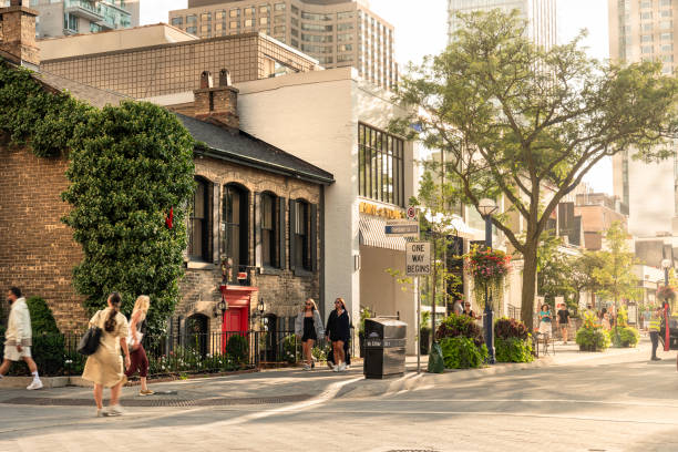 Yorkville ny crazyPeazy