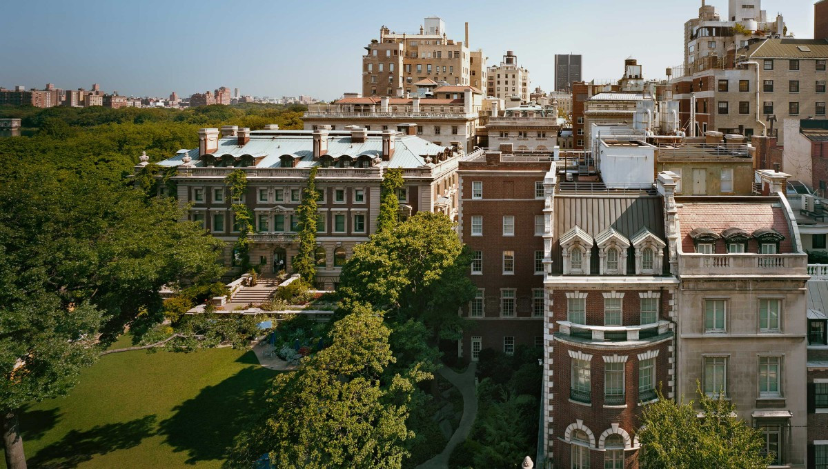 Carnegie Hill CrazyPeazy