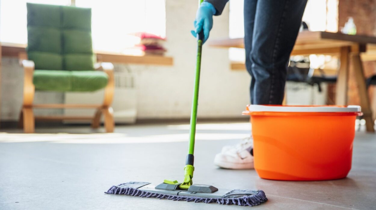 Inwood Residential Cleaning Services Affordable Solutions for Northern Manhattan Homes